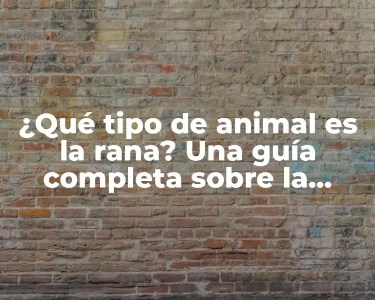 ¿Qué tipo de animal es la rana? Una guía completa sobre la biología y características de las ranas