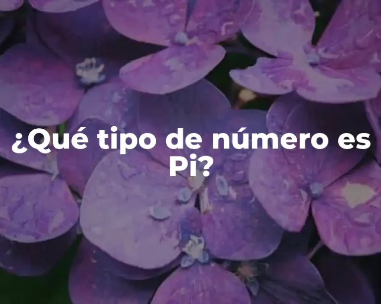 ¿Qué tipo de número es Pi?