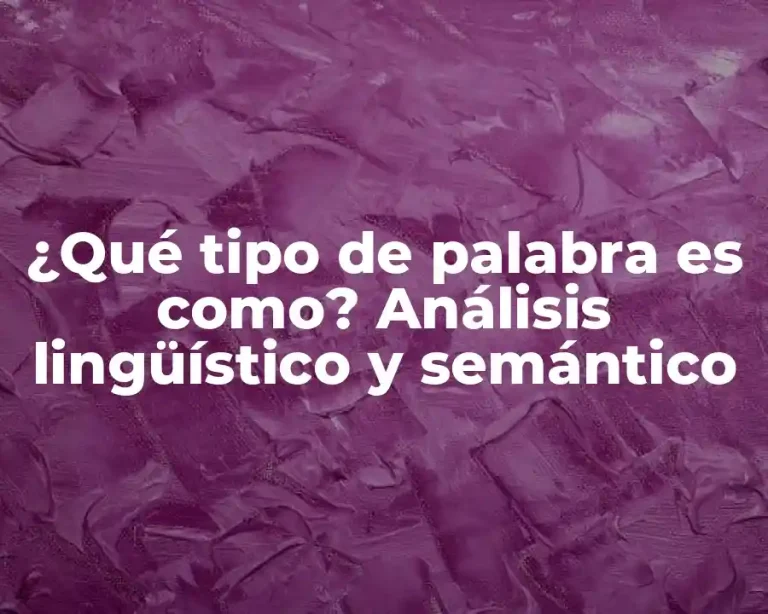 ¿Qué tipo de palabra es como? Análisis lingüístico y semántico