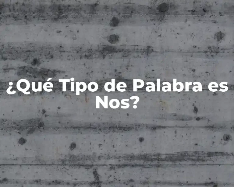 ¿Qué Tipo de Palabra es Nos?