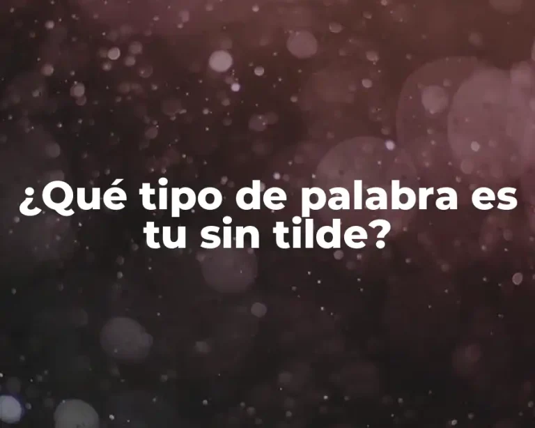 ¿Qué tipo de palabra es tu sin tilde?
