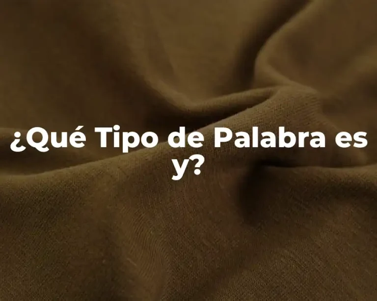 ¿Qué Tipo de Palabra es y?