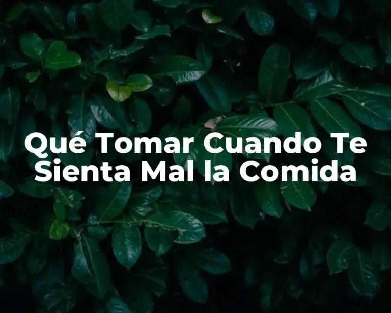 Qué Tomar Cuando Te Sienta Mal la Comida