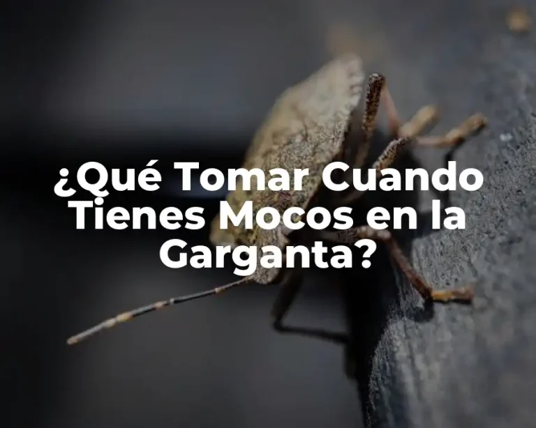 ¿Qué Tomar Cuando Tienes Mocos en la Garganta?
