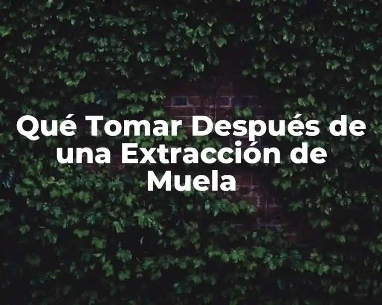 Qué Tomar Después de una Extracción de Muela