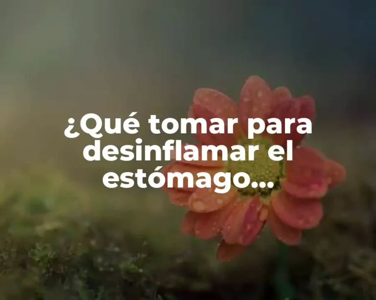¿Qué tomar para desinflamar el estómago naturalmente?