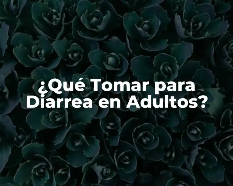 ¿Qué Tomar para Diarrea en Adultos?