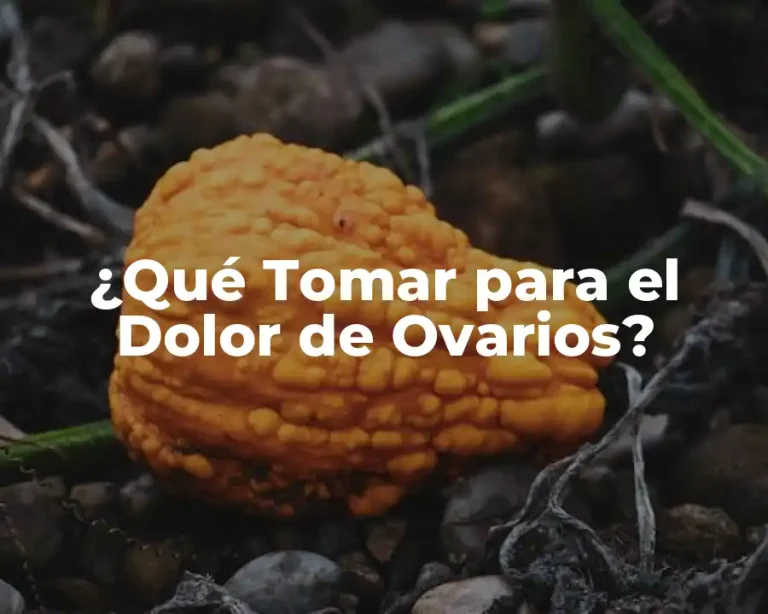 ¿Qué Tomar para el Dolor de Ovarios?