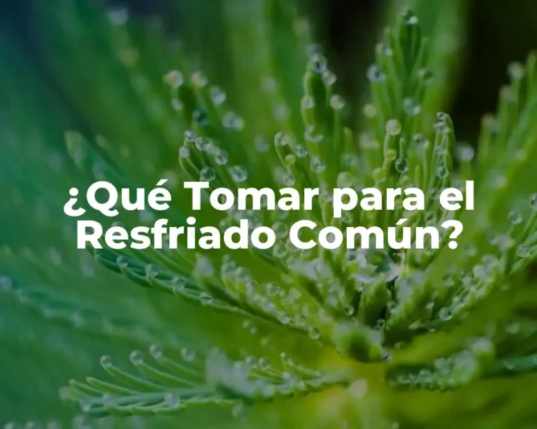 ¿Qué Tomar para el Resfriado Común?