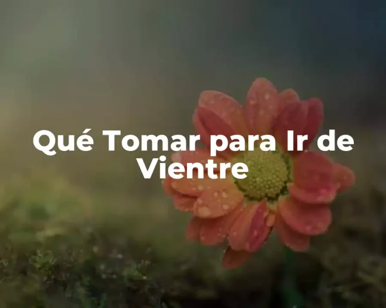 Qué Tomar para Ir de Vientre
