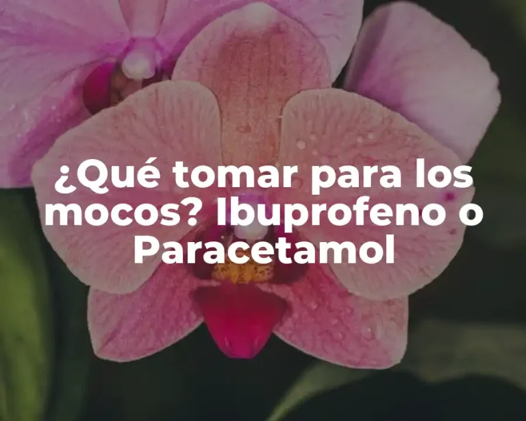 ¿Qué tomar para los mocos? Ibuprofeno o Paracetamol