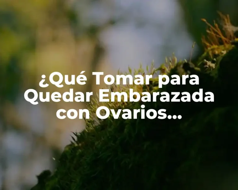 ¿Qué Tomar para Quedar Embarazada con Ovarios Poliquísticos?