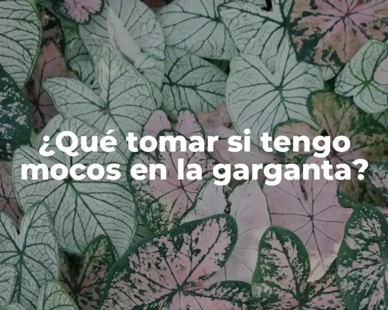 ¿Qué tomar si tengo mocos en la garganta?