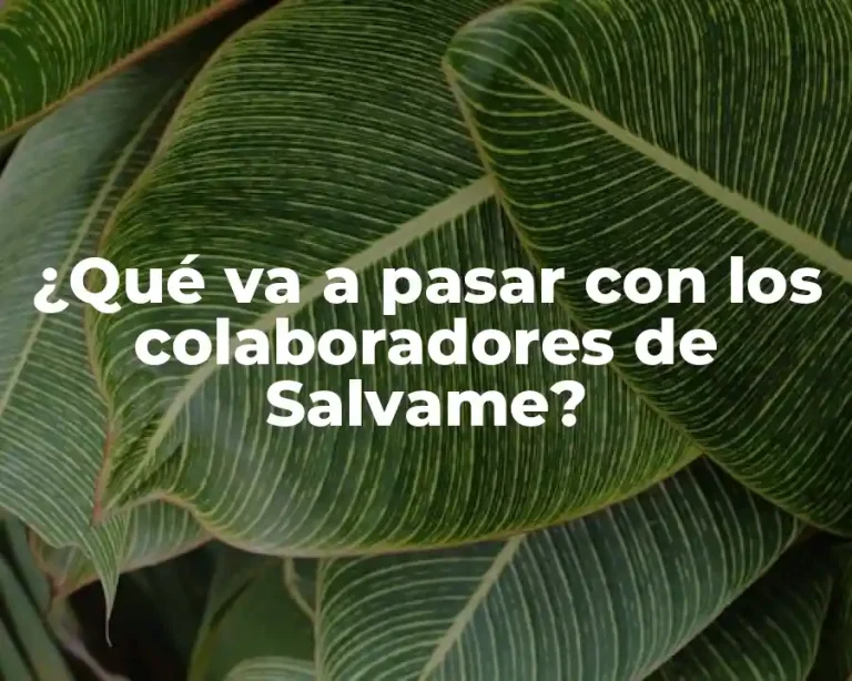 ¿Qué va a pasar con los colaboradores de Salvame?