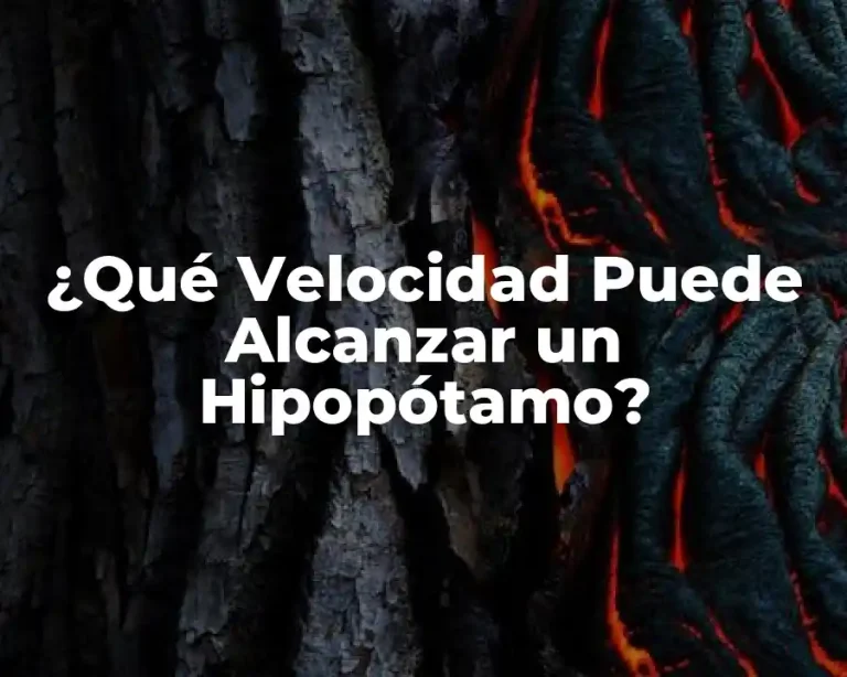 ¿Qué Velocidad Puede Alcanzar un Hipopótamo?