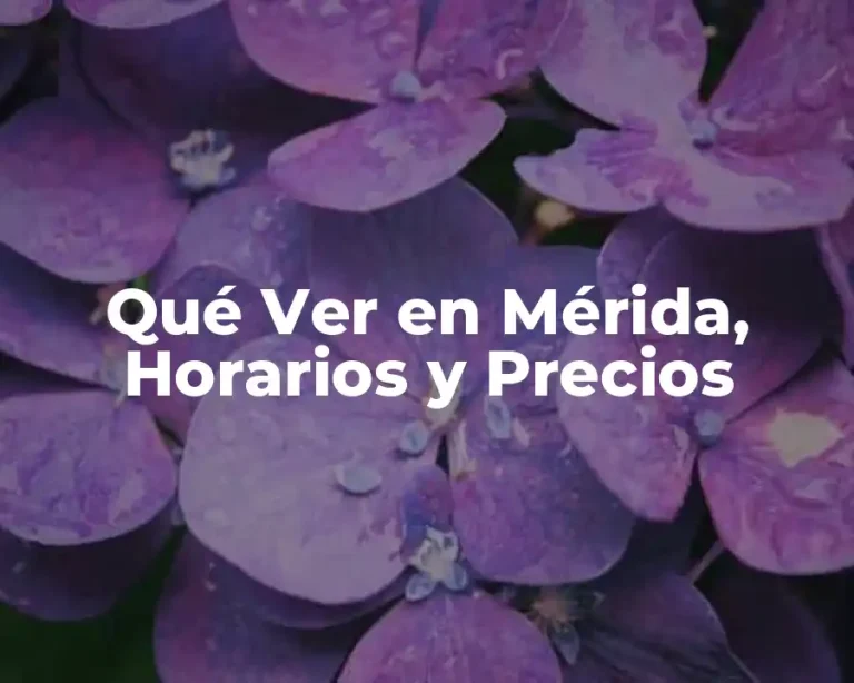 Qué Ver en Mérida, Horarios y Precios
