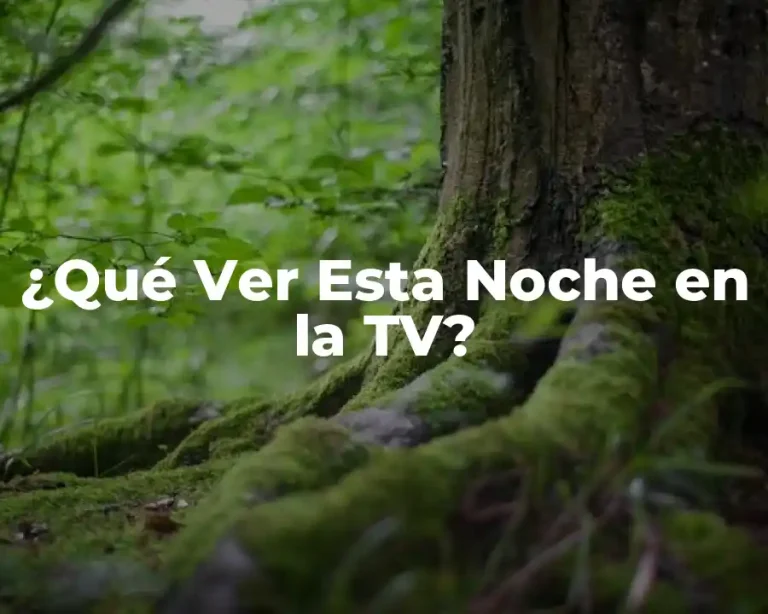 ¿Qué Ver Esta Noche en la TV?
