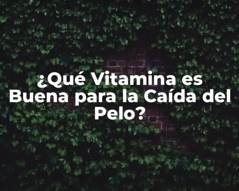 ¿Qué Vitamina es Buena para la Caída del Pelo?