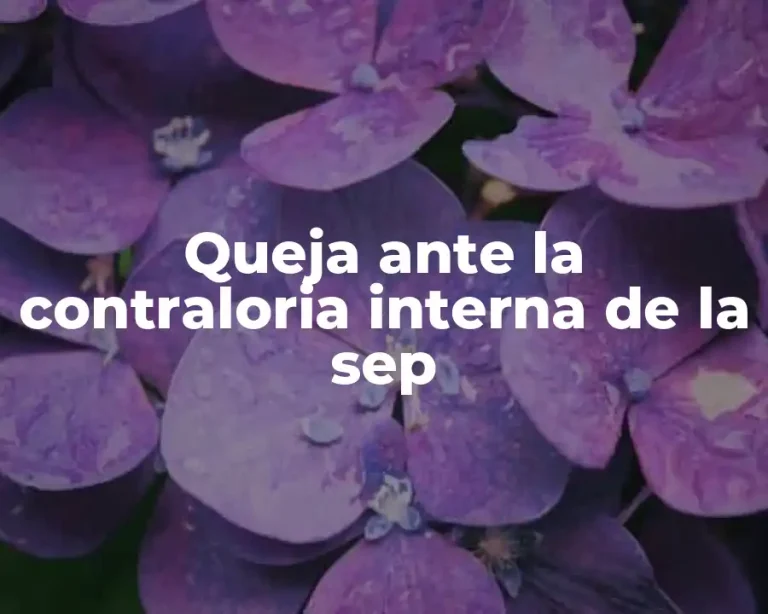 Queja ante la contraloria interna de la sep