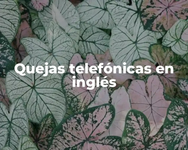 Quejas telefónicas en inglés