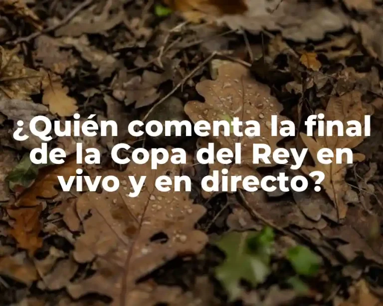 ¿Quién comenta la final de la Copa del Rey en vivo y en directo?