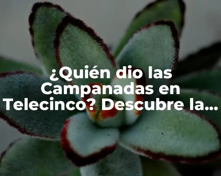 ¿Quién dio las Campanadas en Telecinco? Descubre la historia detrás de la tradición