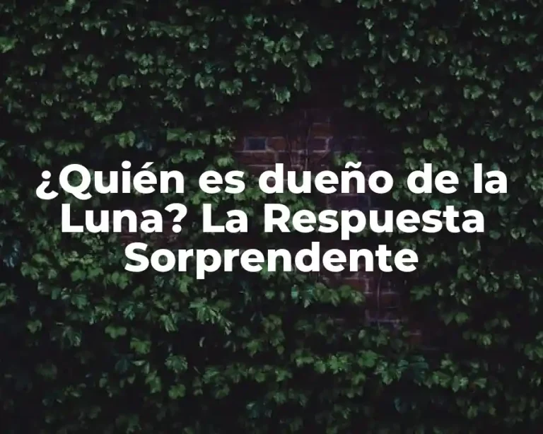 ¿Quién es dueño de la Luna? La Respuesta Sorprendente