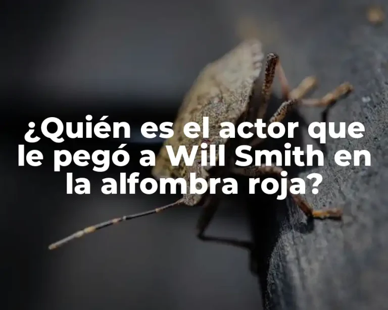¿Quién es el actor que le pegó a Will Smith en la alfombra roja?