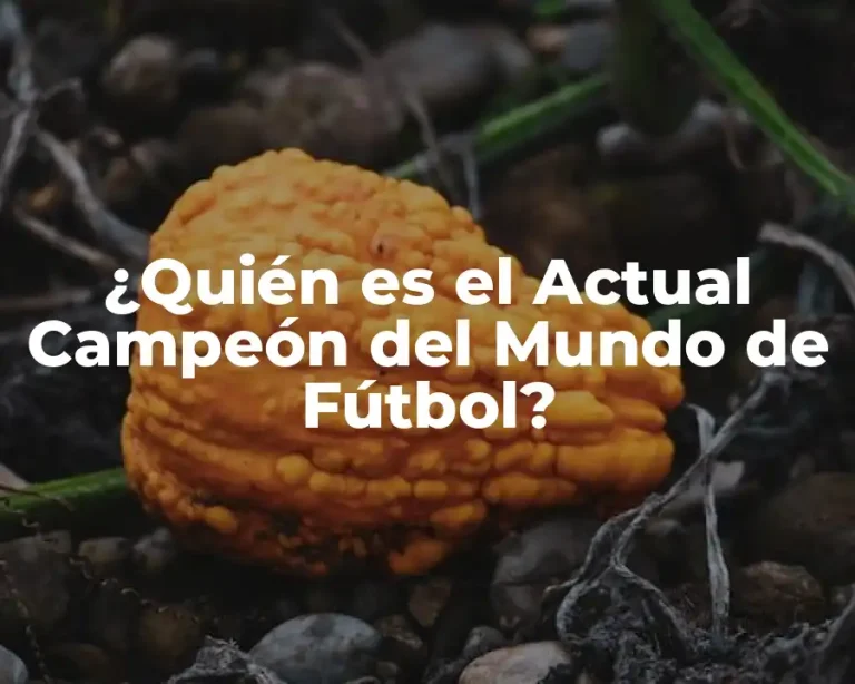¿Quién es el Actual Campeón del Mundo de Fútbol?