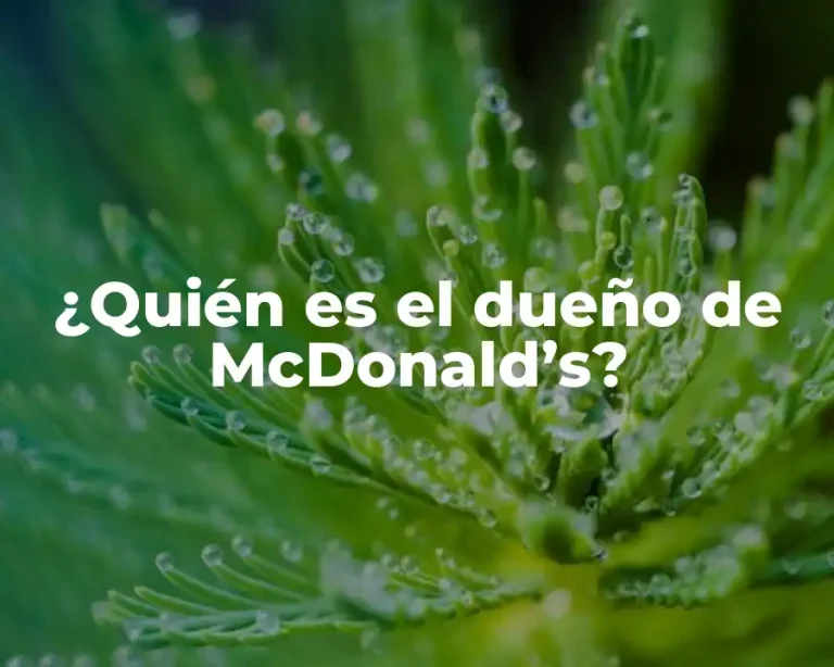 ¿Quién es el dueño de McDonald’s?