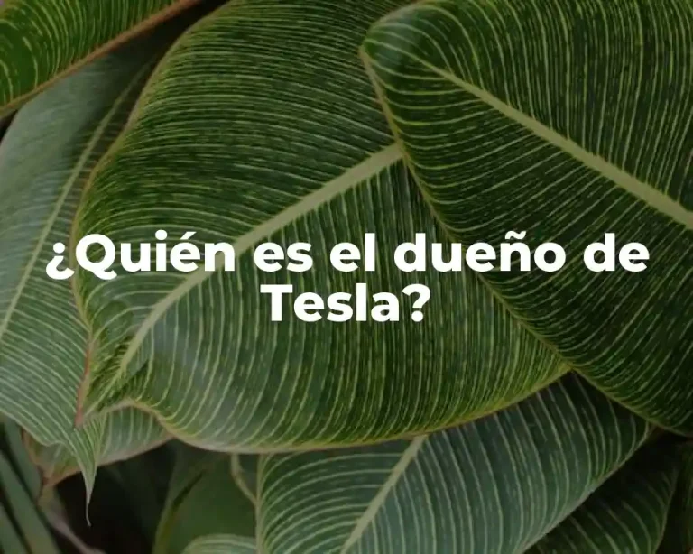 ¿Quién es el dueño de Tesla?