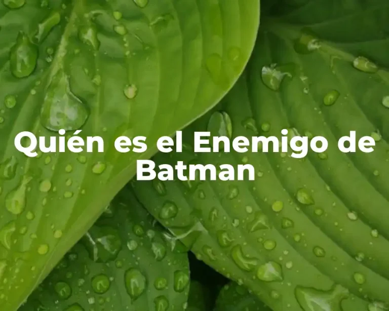 Quién es el Enemigo de Batman