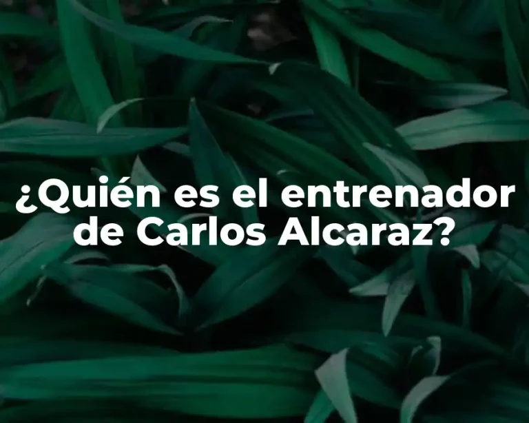 ¿Quién es el entrenador de Carlos Alcaraz?