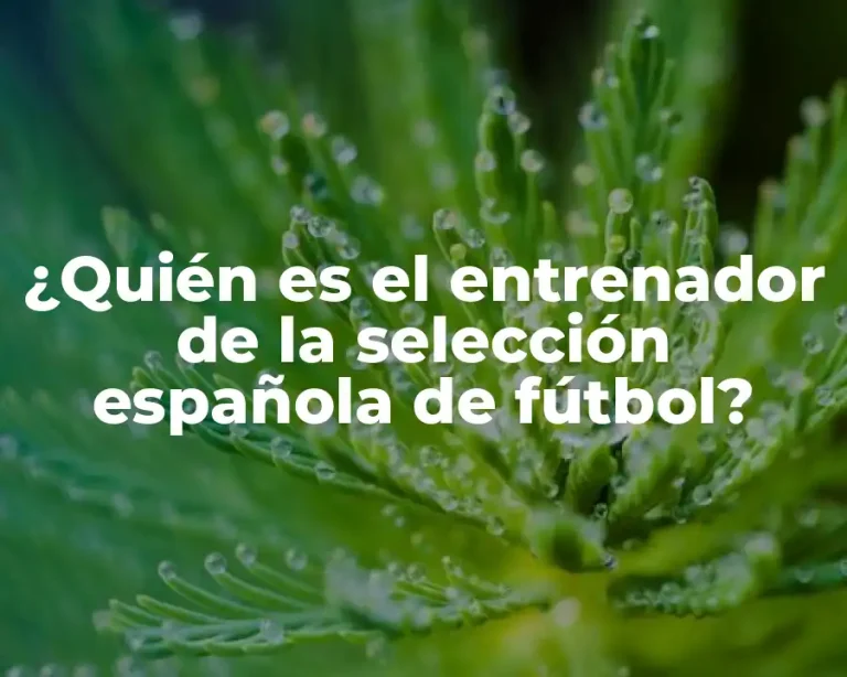 ¿Quién es el entrenador de la selección española de fútbol?