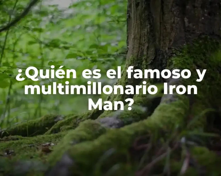 ¿Quién es el famoso y multimillonario Iron Man?