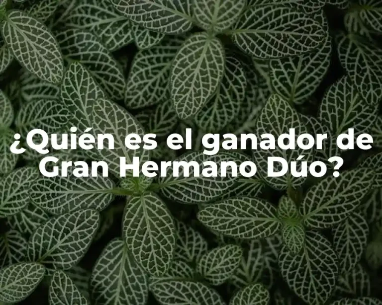 ¿Quién es el ganador de Gran Hermano Dúo?
