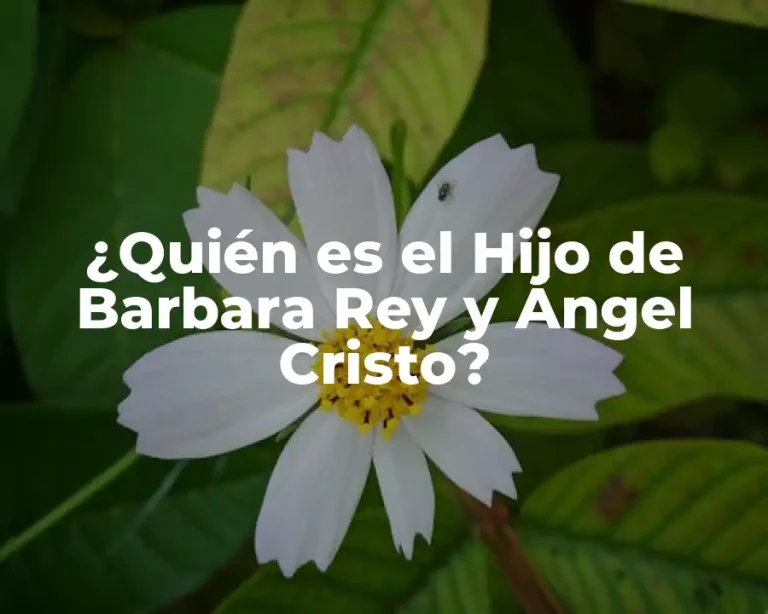 ¿Quién es el Hijo de Barbara Rey y Ángel Cristo?