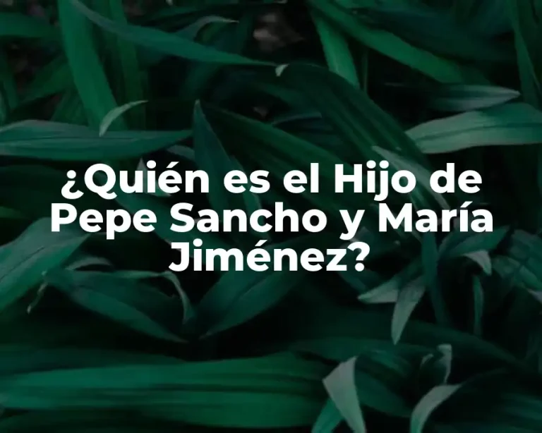 ¿Quién es el Hijo de Pepe Sancho y María Jiménez?