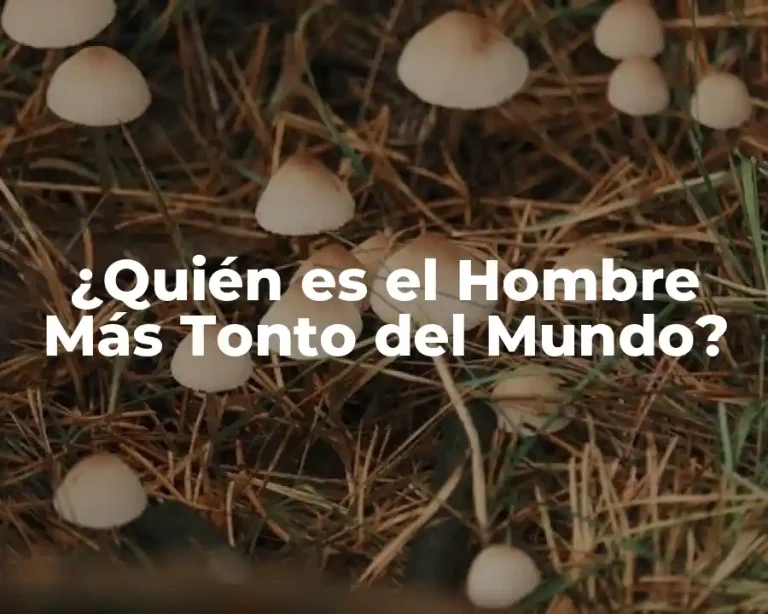 ¿Quién es el Hombre Más Tonto del Mundo?