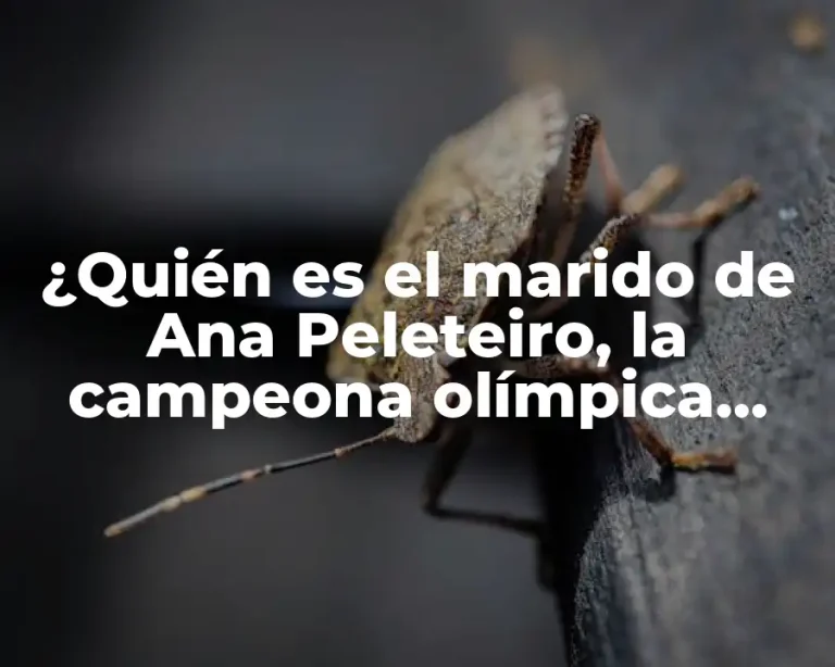 ¿Quién es el marido de Ana Peleteiro, la campeona olímpica española?