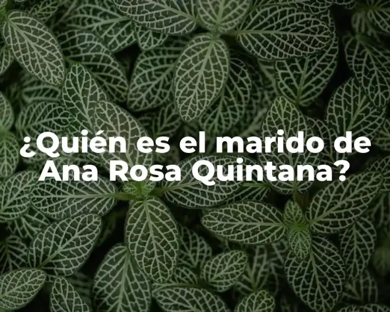 ¿Quién es el marido de Ana Rosa Quintana?