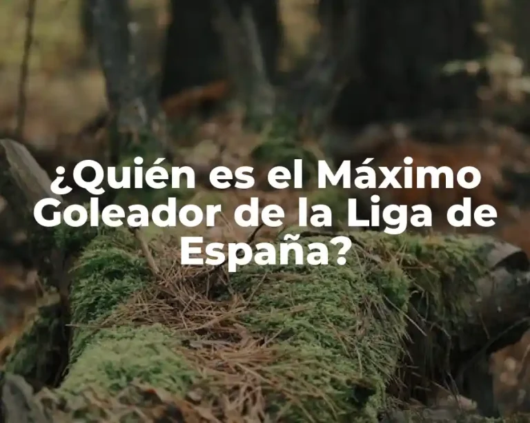 ¿Quién es el Máximo Goleador de la Liga de España?