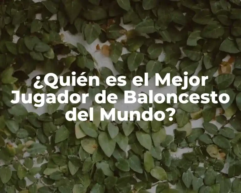 ¿Quién es el Mejor Jugador de Baloncesto del Mundo?