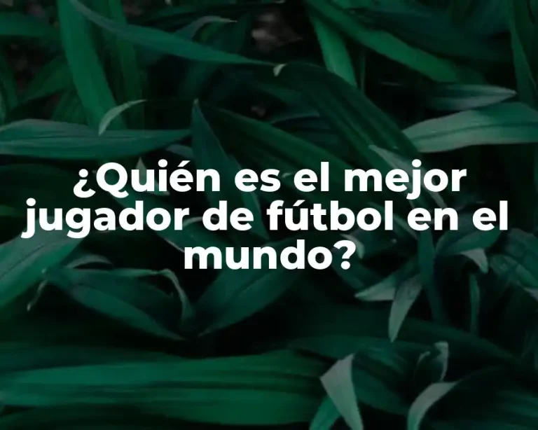 ¿Quién es el mejor jugador de fútbol en el mundo?