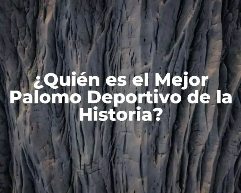 ¿Quién es el Mejor Palomo Deportivo de la Historia?