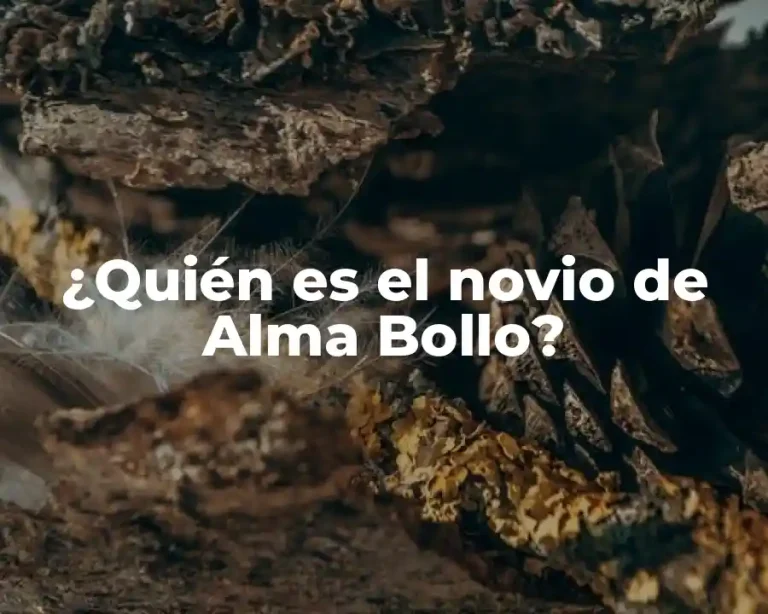 ¿Quién es el novio de Alma Bollo?