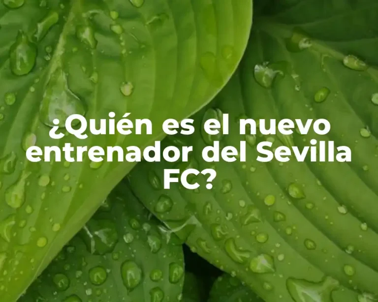 ¿Quién es el nuevo entrenador del Sevilla FC?
