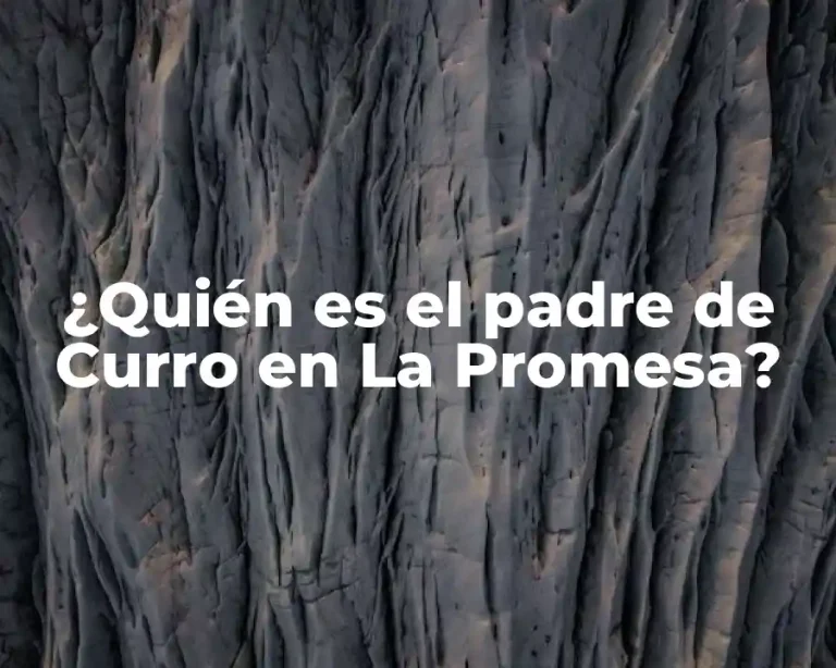 ¿Quién es el padre de Curro en La Promesa?