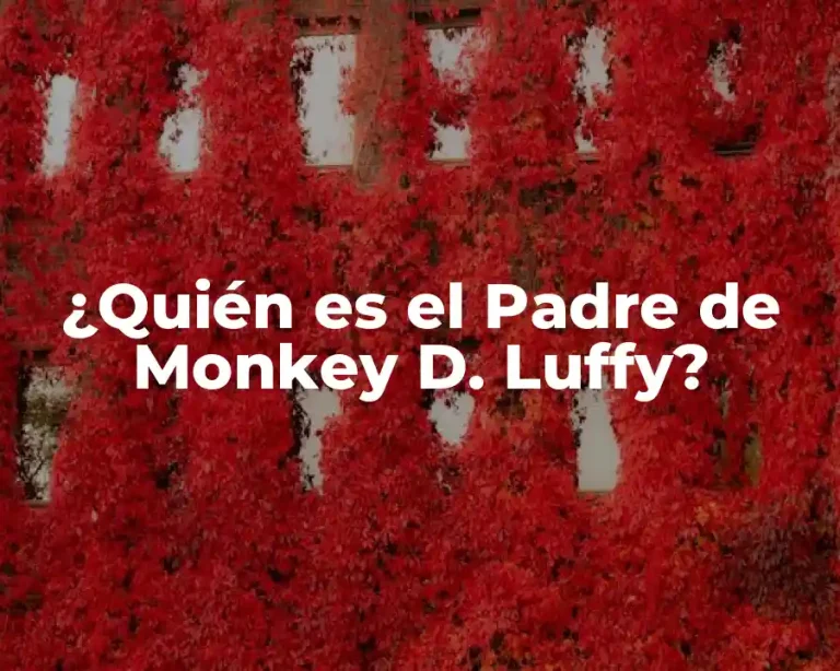 ¿Quién es el Padre de Monkey D. Luffy?