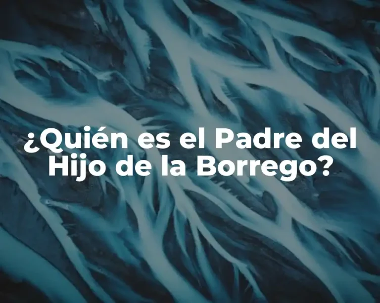¿Quién es el Padre del Hijo de la Borrego?